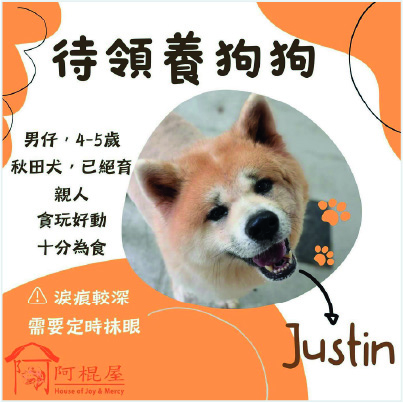 [Dummy] 領養活動